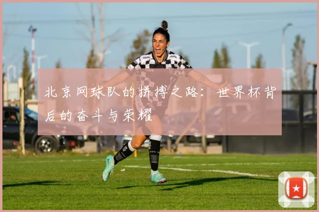 北京网球队的拼搏之路：世界杯背后的奋斗与荣耀